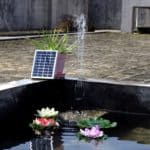 Best Solar Water Pumps